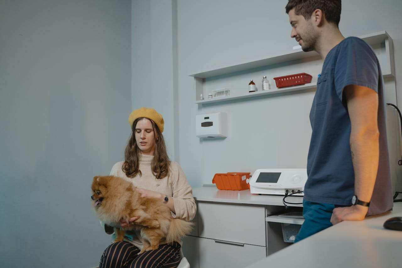 Pet Insurance - What is Pet Insurance