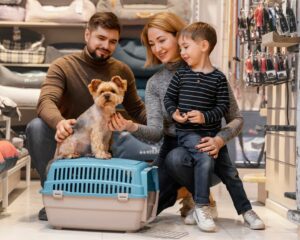 How to Travel with Your Dog While Flying
