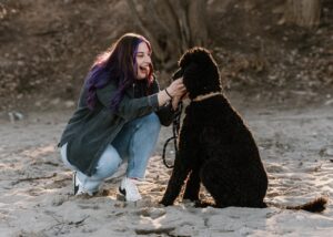 Pet Insurance 101 – The Ultimate Guide