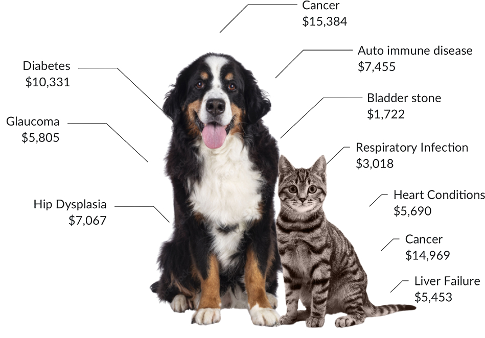 Vet Bills